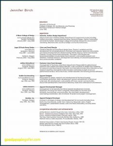 Best Resume Builder Professional