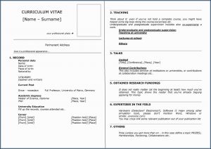 Capstone Resume Services Reviews