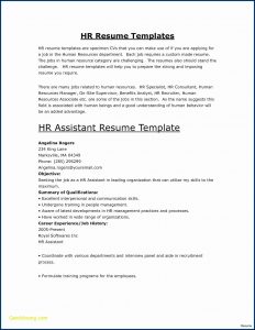 Chronological Resume Builder Free