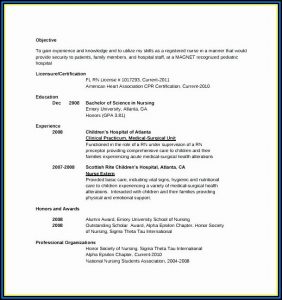 Cna Resume For Hospital Job