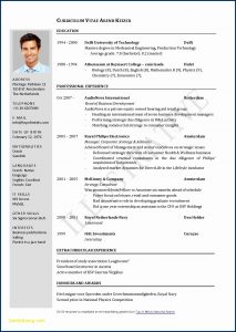 Download Executive Resume Templates