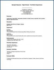 Example Resumes For Jobs Without Experience