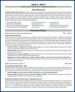 Executive Cv Formats
