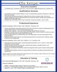 Executive Resume Examples 2016