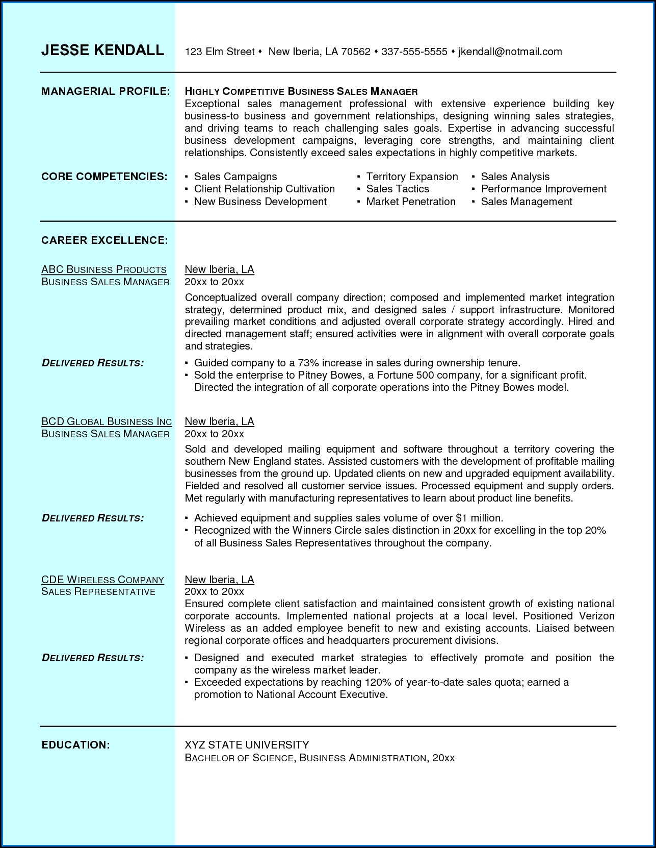 Executive Resume Examples Word