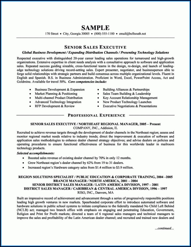 Executive Resumes Examples