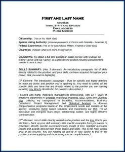 Federal Resume Template For Veterans