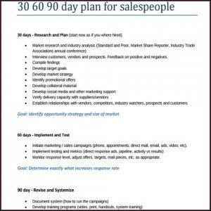 30 60 90 Day Marketing Plan Template Free
