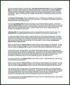 Business Plan Examples For Investors