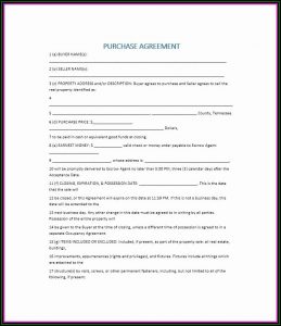 Buy Sell Agreement Template California