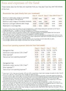 Business Investment Prospectus Template