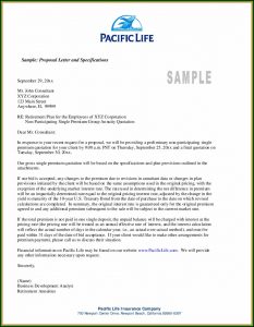 Business Proposal Example Pdf