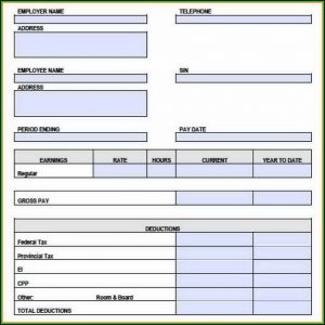 Check Stubs Template Pdf