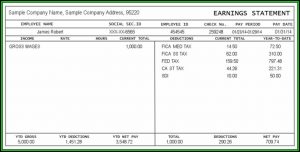 Check Stubs Templates