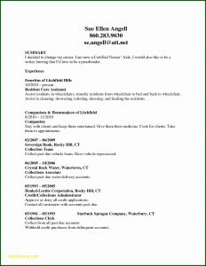 Cna Resume Templates
