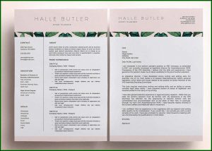 Cool Resume Templates