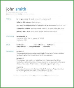 Creative Fresher Resume Templates Free Download For Microsoft Word