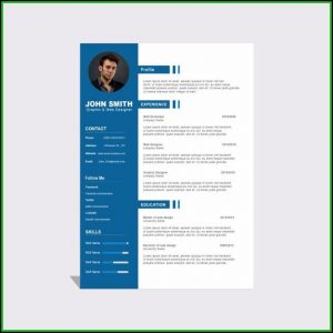 Curriculum Vitae Template Free Download Psd