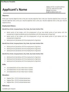 Curriculum Vitae Template Free Online