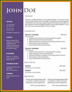 Cv Template Free Word Document