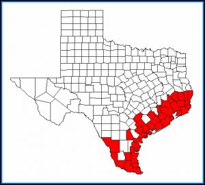 Great Texas Birding Trail Map