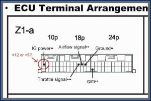 Holley 5 Bar Map Sensor Wiring