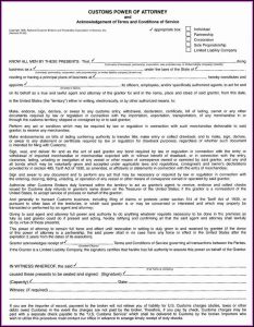 Durable Power Of Attorney Form Florida 2017