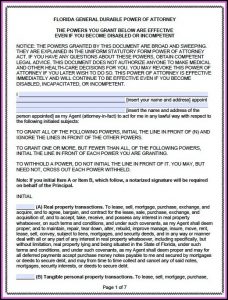 Durable Power Of Attorney Form Florida Pdf
