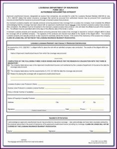 El Paso County Texas Court Forms