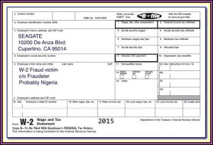 Fake W2 Forms Pay Stubs