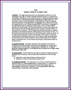 Financial Poa Form Illinois