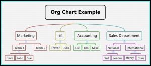 Example Org Chart Template