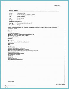 Expert Witness Invoice Template