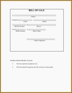 Fake Car Insurance Template Download