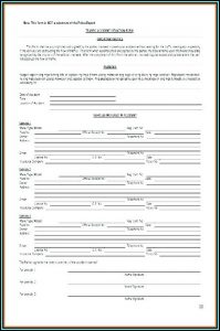 Fake Car Insurance Template Uk