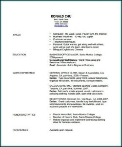 Fashion Resume Templates Free