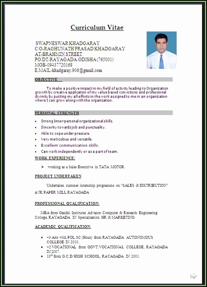 Free Download Resume Format Word Document