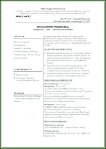 Free Downloadable Professional Resume Templates 2017