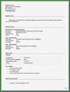 Free Fresher Resume Sample Download