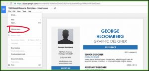Free Google Doc Resume Templates