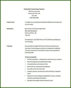 Free Hair Stylist Resume Templates Download