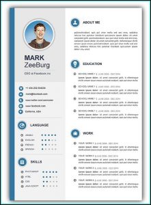 Free Microsoft Cv Templates For Word