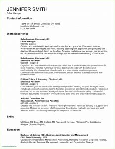 Free Ms Resume Templates