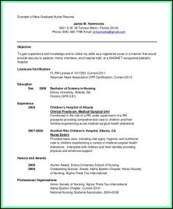 Free Printable Resume Templates 2017