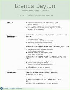 Free Professional Resume Templates 2017