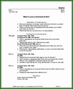 Free Professional Resume Templates Microsoft Word 2010
