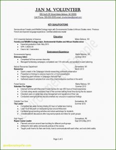 Free Resume Builder Program Download