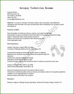 Free Resume Builder To Save To Computer