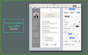 Free Resume Templates For Mac Pages
