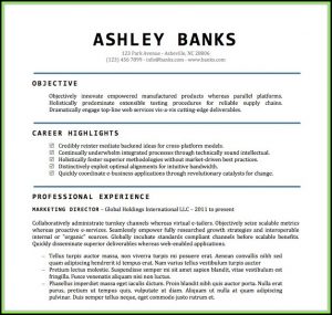 Free Resume Word Document